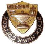 Black Hawk College Nursing circular metal pin